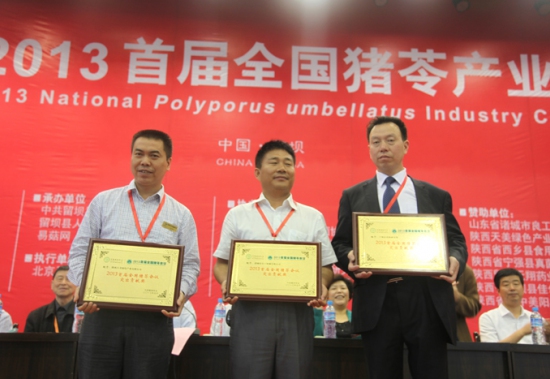 开幕式:颁奖“2013首届全国猪苓会议”突出贡献奖 (2)
