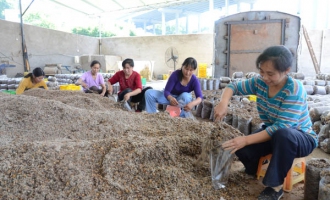 梁平县留守妇女在Manbetx体育手机版推荐A9版本基地务工月收入2000多元