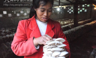 留守妇女Manbetx体育手机版推荐A9版本种植脱了贫