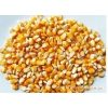 大量求购玉米
