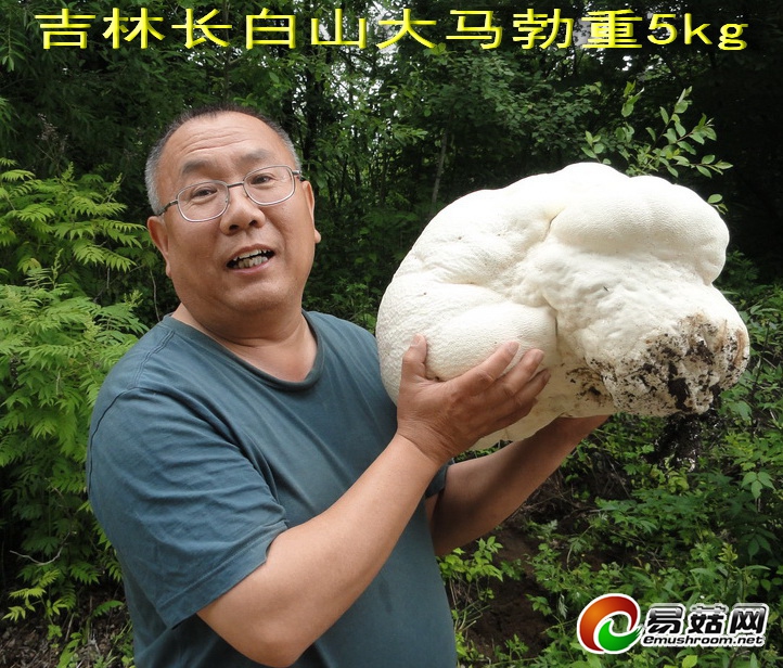 DSC08427_调整大小