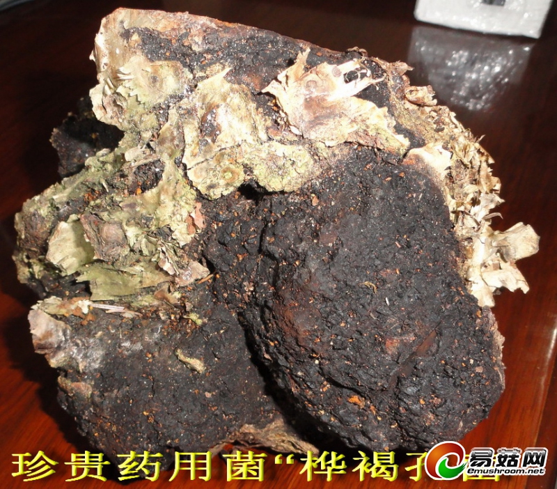 DSC08531_调整大小