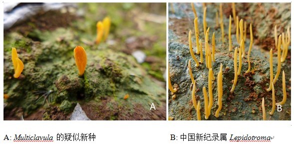 QQ图片20130718090207