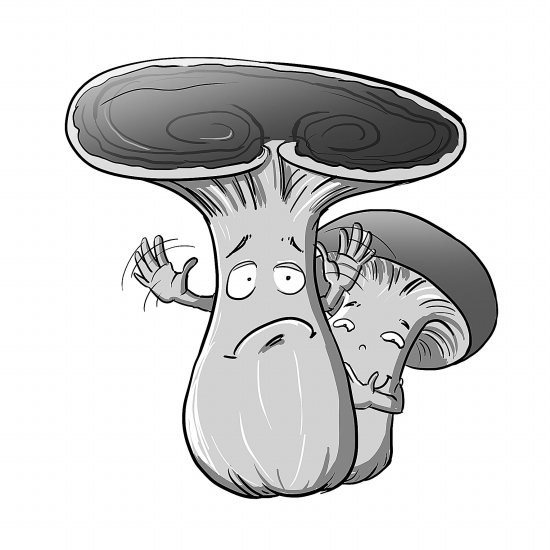 20130717A18_res03_attpic_brief