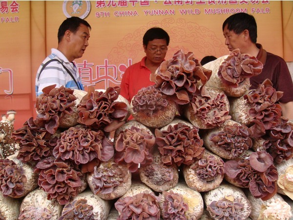 QQ图片20130726085108