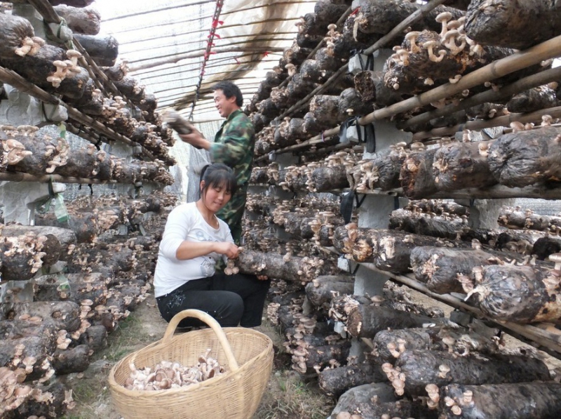 QQ图片20130726164836