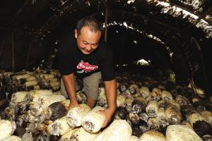 B4805Cb002_-_20138510558thumb