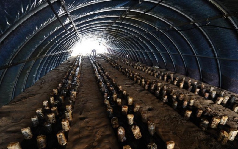 QQ图片20130809095924