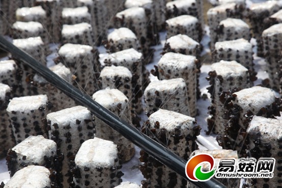 QQ图片20130813141947