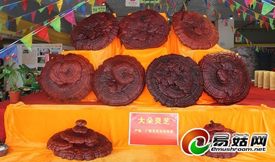 QQ图片20130814142650