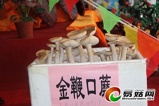 QQ图片20130814142701_副本