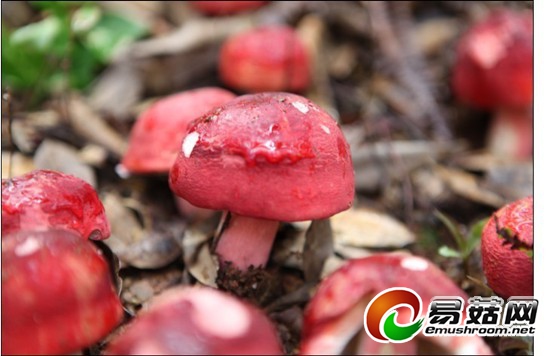 QQ图片20130814143916