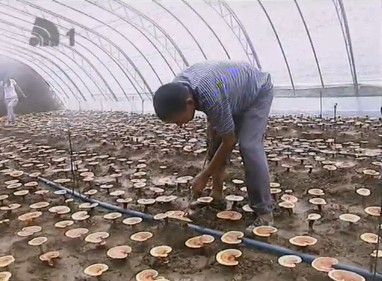 QQ图片20130819092402