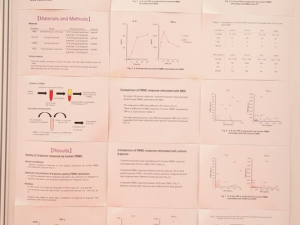 IMMC7论文海报(P15) (1)