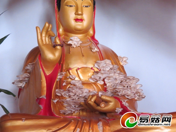 QQ图片20130826215837.jpg.thumb