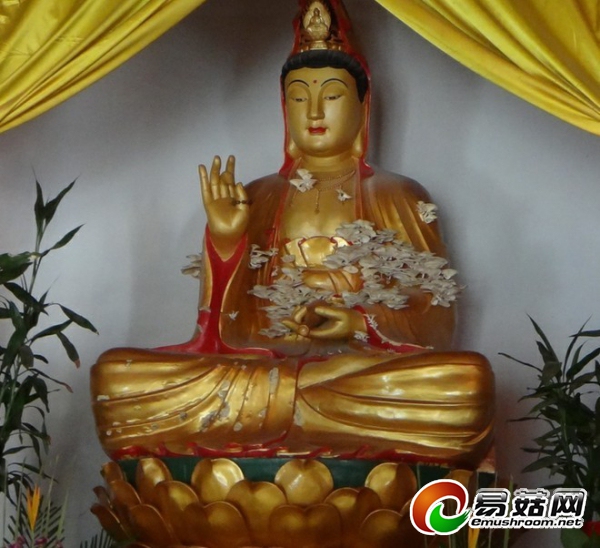 QQ图片20130827083149.jpg.thumb