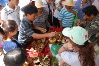 云南野生菌面临量增价跌的窘境