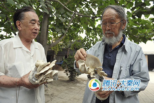 7411436_1200x1000_709