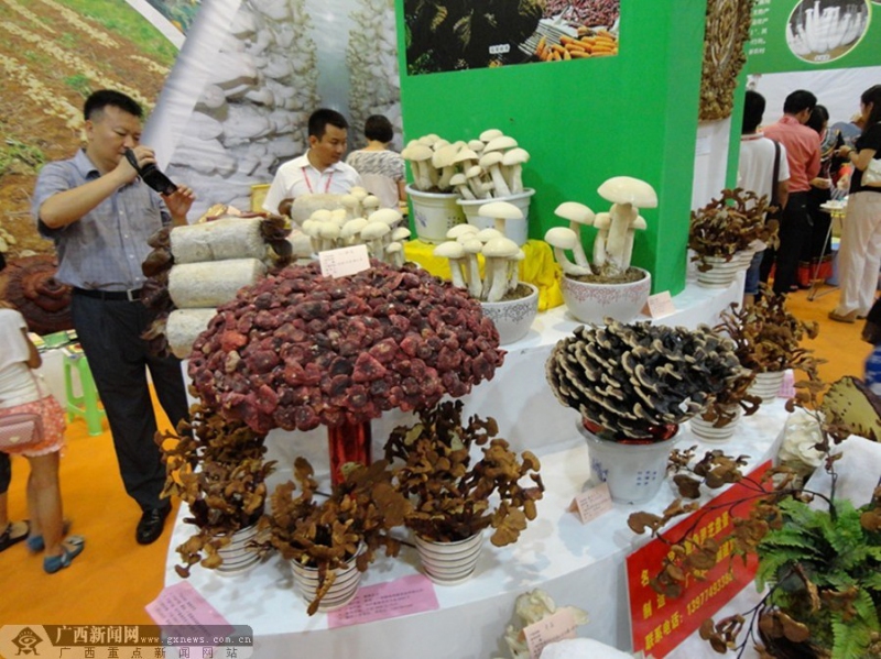 QQ图片20130907110306