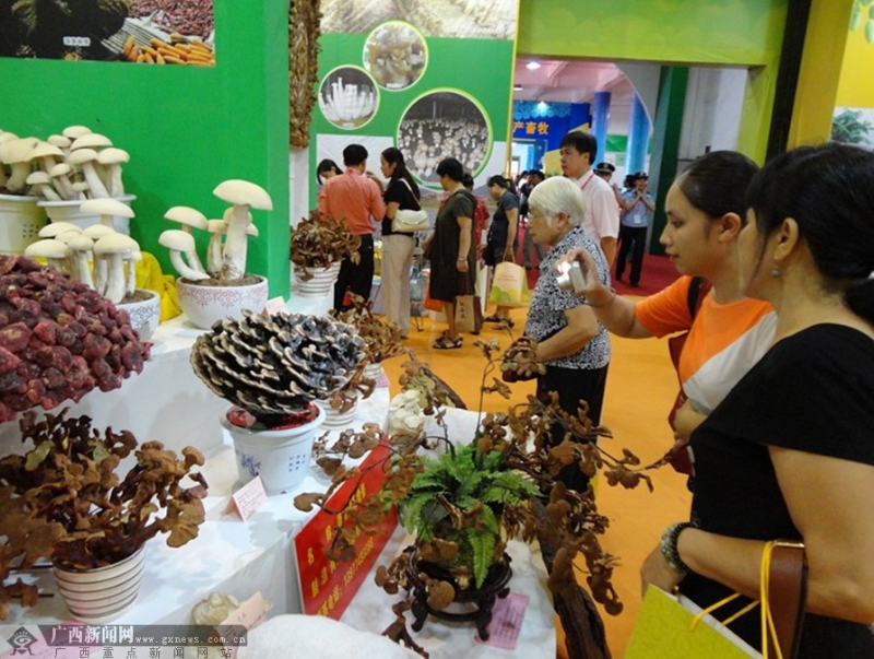 QQ图片20130907110233