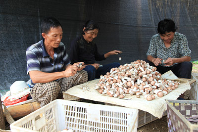 PicOnline_20130902085750_6523d924-7603-46bd-8253-8da4044fb472