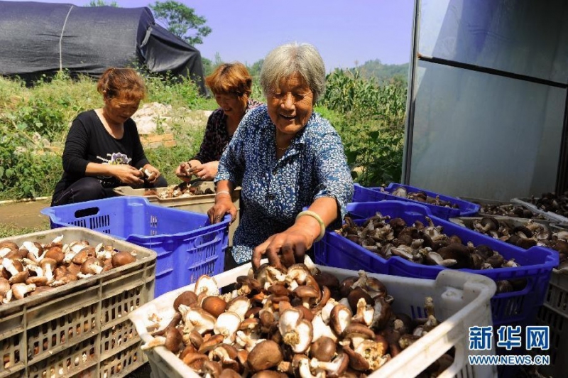 QQ图片20130909115918