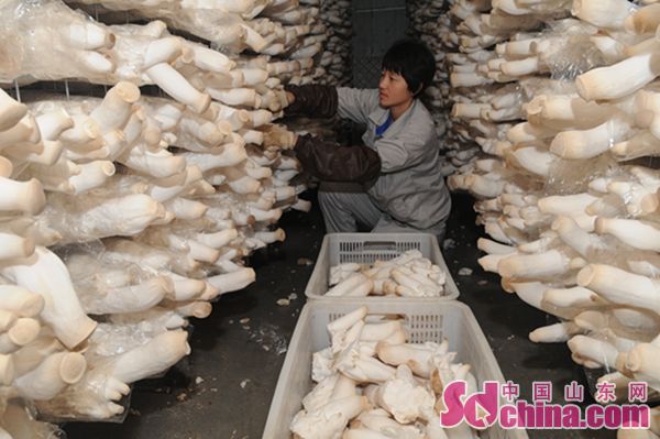 5b9c70f2-3c9f-4ece-a3f5-17a0e3ef0890