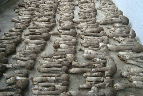 20130927170542_62179