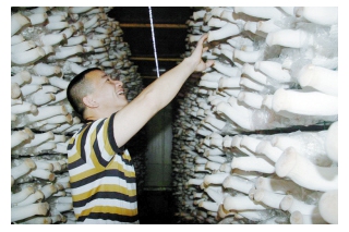 龙海九湖镇技术改革促进Manbetx体育手机版V17版本发布.官网安卓网.香港产业转型升级