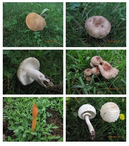 QQ图片20131004143326