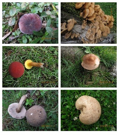 QQ图片20131004143352