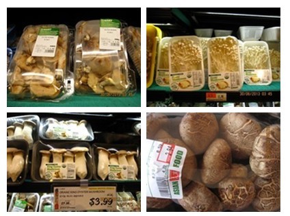 QQ图片20131004142218