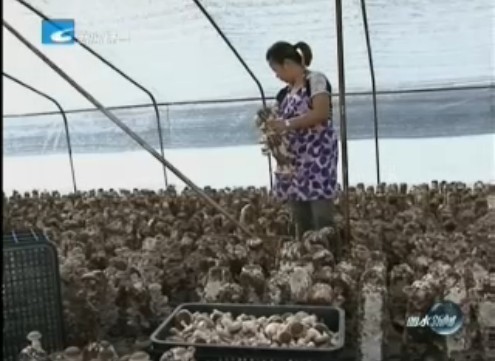 QQ图片20131005103104