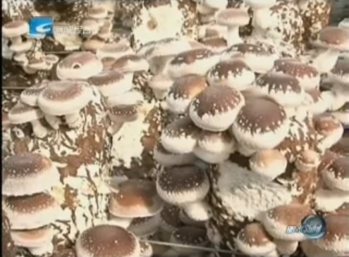 QQ图片20131005102936