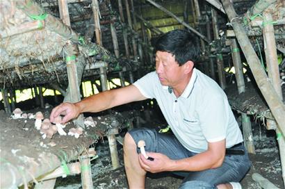 c01_1a5ee1fa-158e-4874-aaa1-3cde3b1900bb_0