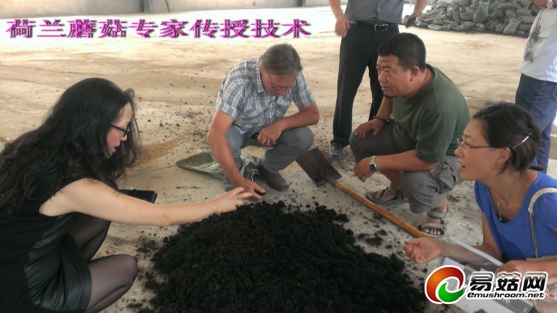 QQ图片20131008085539