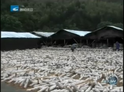 QQ图片20131008102626