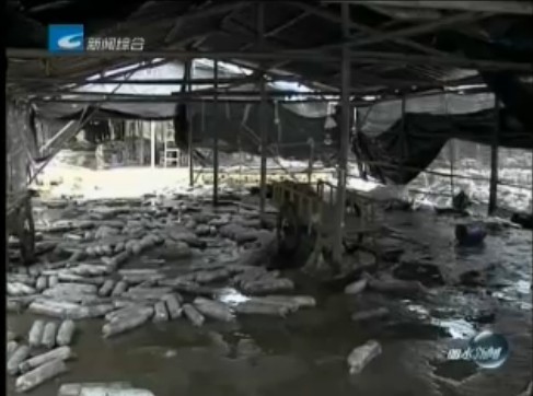 QQ图片20131008102546