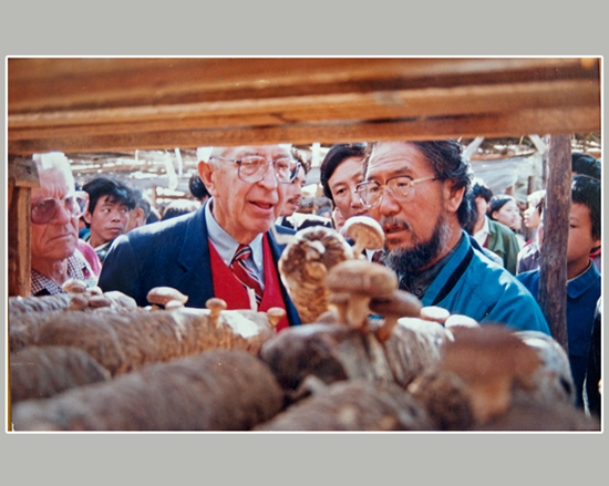 记忆组银奖春意盎然 (郑承春)