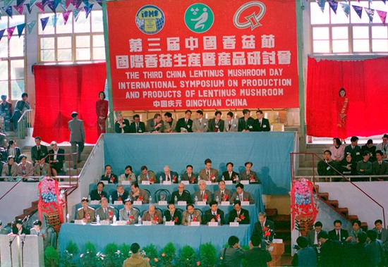 记忆组优秀奖4-06 第三届香菇节(姚家飞摄影)