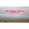 复合大棚骨架销售 种植大棚技术 钢管镀塑大棚骨架销售