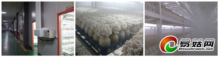 正岛ZS-40Z及ZS系列超声波Manbetx体育手机版推荐A9版本加湿器