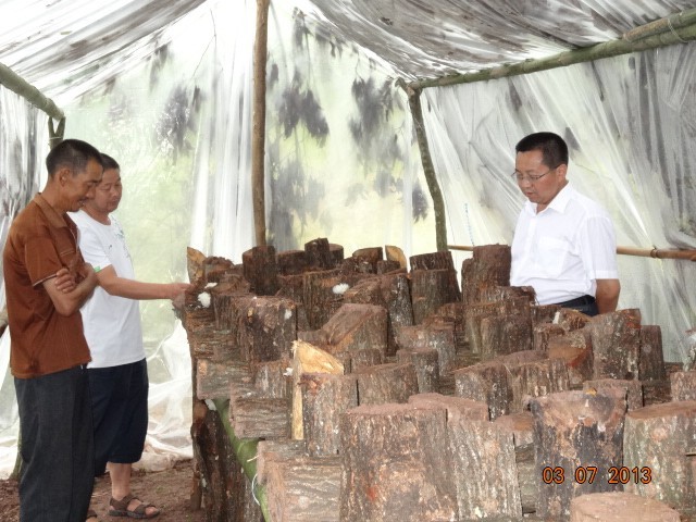 QQ图片20131024114314