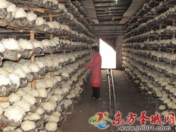 xin_511010231537562259347