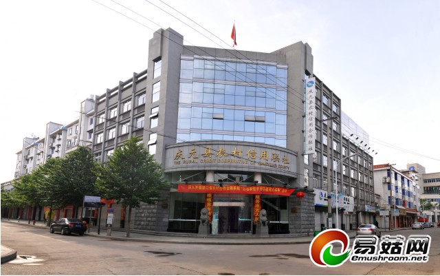 庆元县农村信用联社大楼3