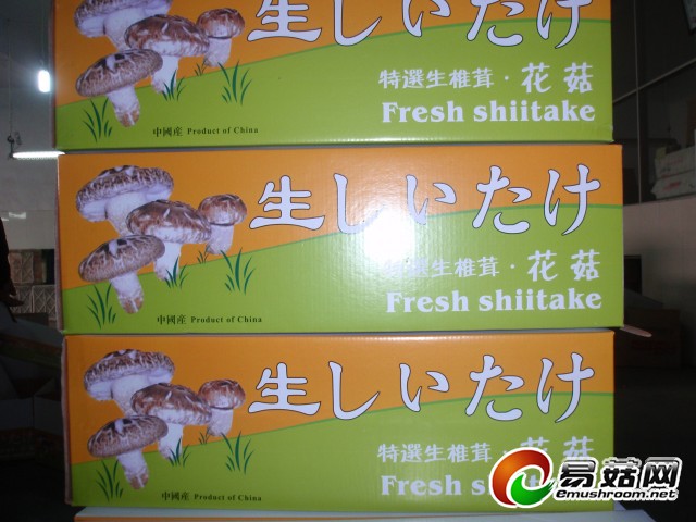 包装好的出口菇
