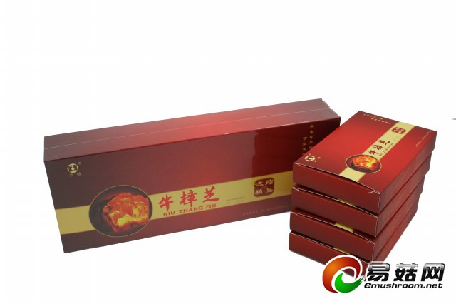 牛樟芝胶囊