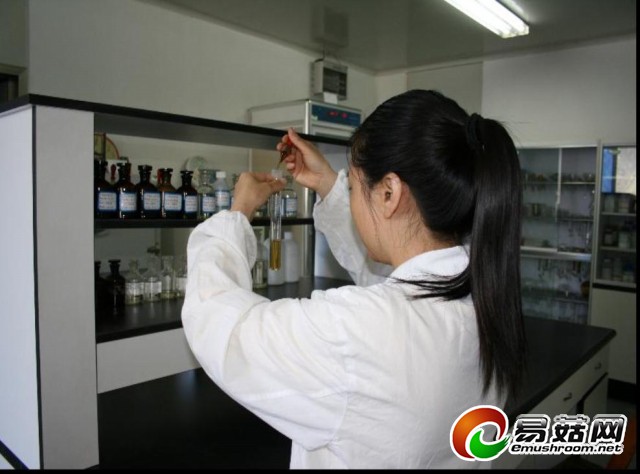 研发中心工作人员在检测