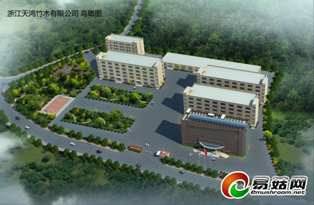 2013.2.2天鸿鸟瞰