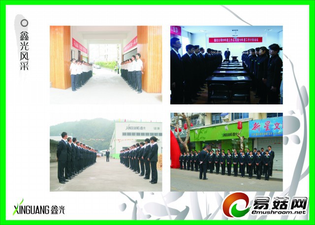 鑫光风采1